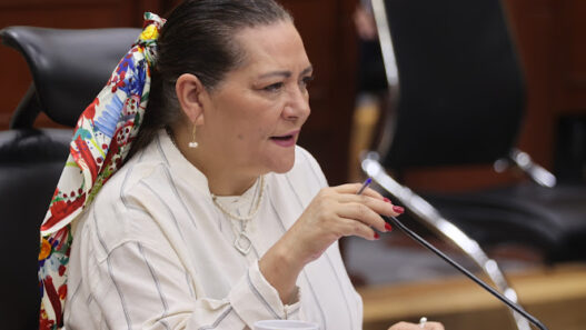 INE sólo supervisará histórica elección de jueces federales