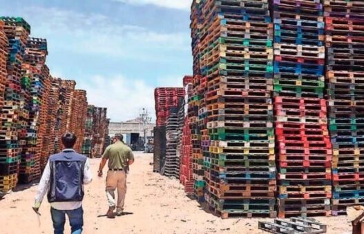 Multan con 11 mil pesos a recicladoras clausuradas en Chihuahua