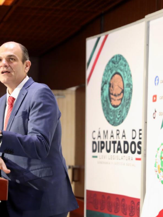 Diputado propone dividir votación del Presupuesto de Egresos