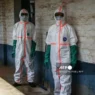 Ébola en RDC: brote actual es el más letal de su historia
