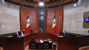 México Tiene Vida acumula multas por irregularidades electorales