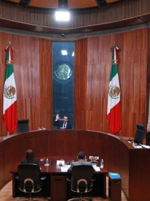 México Tiene Vida acumula multas por irregularidades electorales