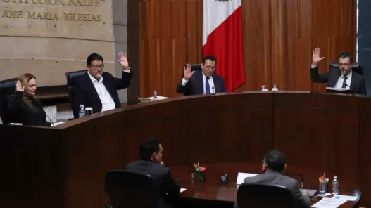 TEPJF ordena al INE verificar a observadores electorales 2026-27