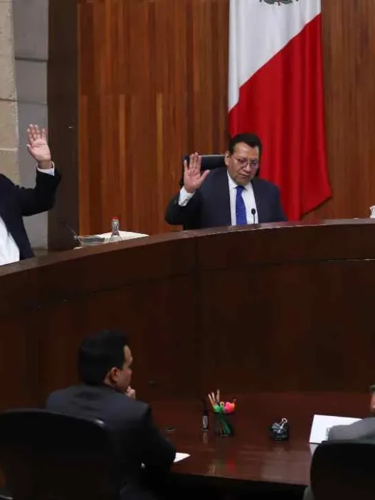 TEPJF ordena al INE verificar a observadores electorales 2026-27